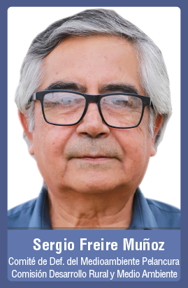 Sergio Freire Muñoz