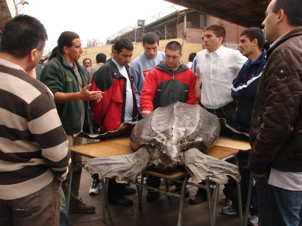 27 01 2010 034_1024x768