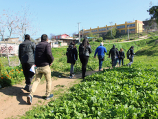 Vecinos del sector O'Higgins recibieron visita del Programa Barrios