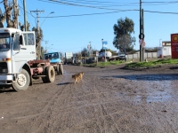 Dos empresas postulan a hacer el mejoramiento “Portales – O’higgins