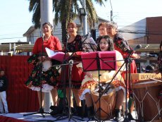 Entretenida Fiesta Costumbrista se realizará en la plaza de Llolleo