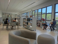 Biblioteca P&uacute;blica Vicente Huidobro ser&aacute; escenario del lanzamiento de la plaquette &ldquo;Girasoles en la Voz&rdquo;