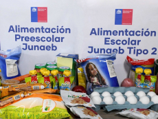 Estudiantes beneficiarios de Junaeb recibirán canastas individuales de alimentos