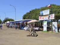 Fiesta del Chinchorro se tomó Tejas Verdes