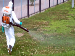 Medio Ambiente de Municipio: Fumigan contra zancudos ríos, esteros y quebradas