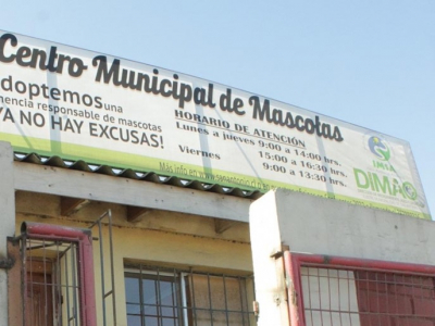 Municipio suspende atención en Centro de Mascotas por casos activo de COVID-19