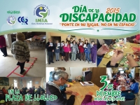 Día de la Discapacidad 2015