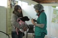 No descuide la salud de su mascota: sigue operativo de esterilizaciones gratuitas en San Antonio