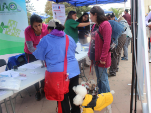 Municipalidad de San Antonio realizó microchipeo gratuito y entregó información sobre especies exóticas en evento Festi Mascota