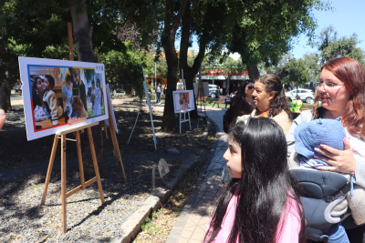 Expo Crianza en Brazos acercó a la comunidad la importancia del apego y la inclusión   
