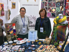 Cruceristas disfrutaron con la Feria Turística “Descubre San Antonio”