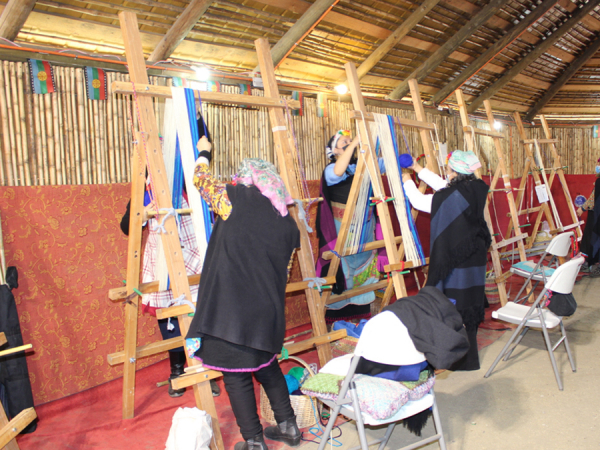 Tejedoras mapuches del litoral participar&aacute;n en Record Guinness