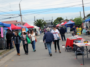 Fiesta del Barrio unió e hizo feliz a los vecinos de Tejas Verdes