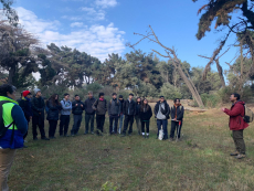Estudiantes de Ingeniería Forestal y DIMAO realizan acciones para la reforestación de especies nativas en el parque DyR