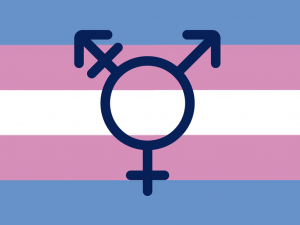 Municipio de San Antonio será el primero a nivel nacional en conmemorar el día de la comunidad trans