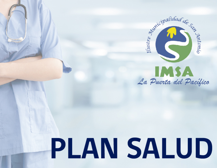 Plan Anual Salud 2012