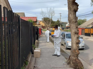 Comenzó la etapa final de la entrega de cajas de mercadería en los hogares de la comuna