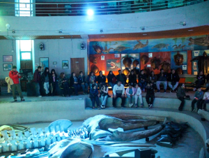 San Antonio vive una masiva Noche de los Museos con m&aacute;s de cinco mil asistentes en el MUSA