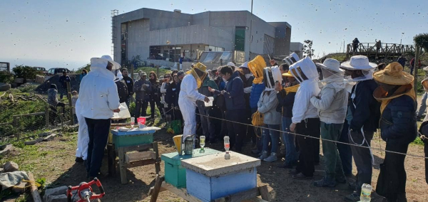 Entretenido panorama ofrecer&aacute; el 5&ordm; Encuentro Ap&iacute;cola Provincial de San Antonio