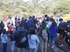 Éxito total en las actividades del Museo Municipal de San Antonio en Vacaciones de Invierno