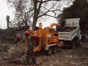  Municipio realiza operativo de limpieza en Juan Aspee y Parque Dyr