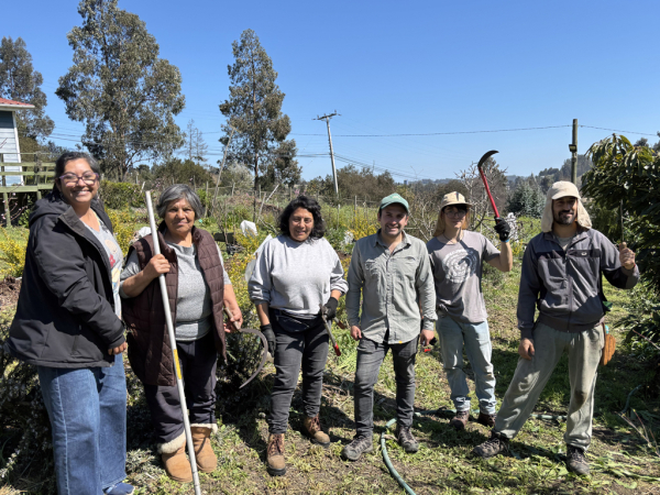 Usuarios de Prodesal San Antonio comprueban los beneficios de la agricultura sintr&oacute;pica