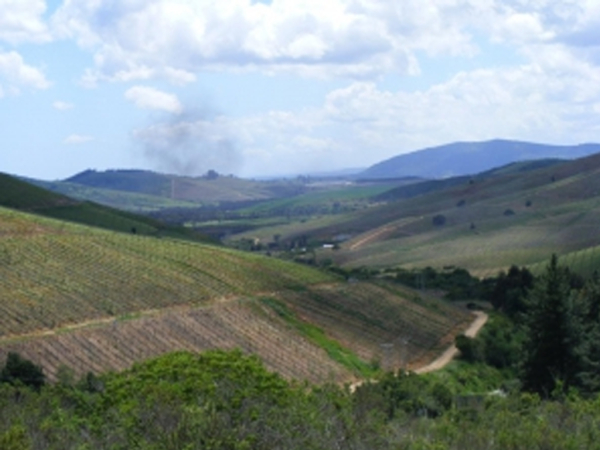 Concurso P&uacute;blico | Asesor T&eacute;cnico Prodesal