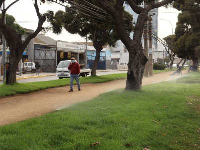 Dimao implementa sistema de riego en el bandej&oacute;n de Barros Luco