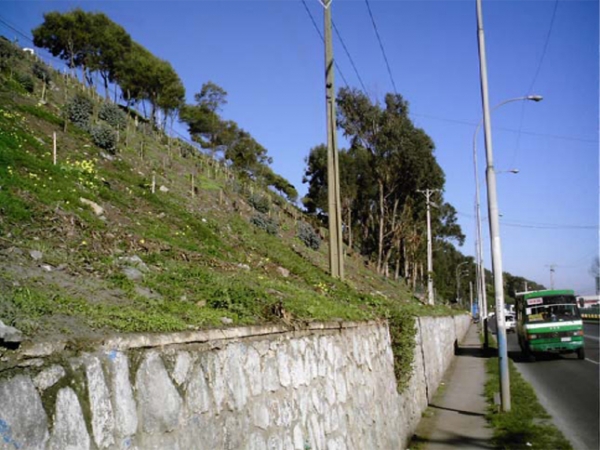 Este s&aacute;bado 16 Mormones asear&aacute;n El Talud 21 de Mayo