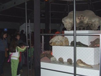 Museo de San Antonio en la Expo Animales Asombrosos en la Estaci&oacute;n Mapocho en Santiago