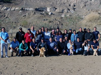 Funcionarios municipales de San Antonio se capacitan en rescate responsable de caballos en la vía pública